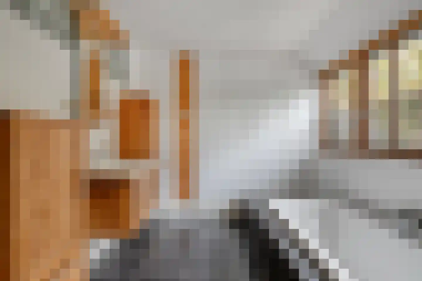 Valkstraat 12 Bergen L thumbnail 4