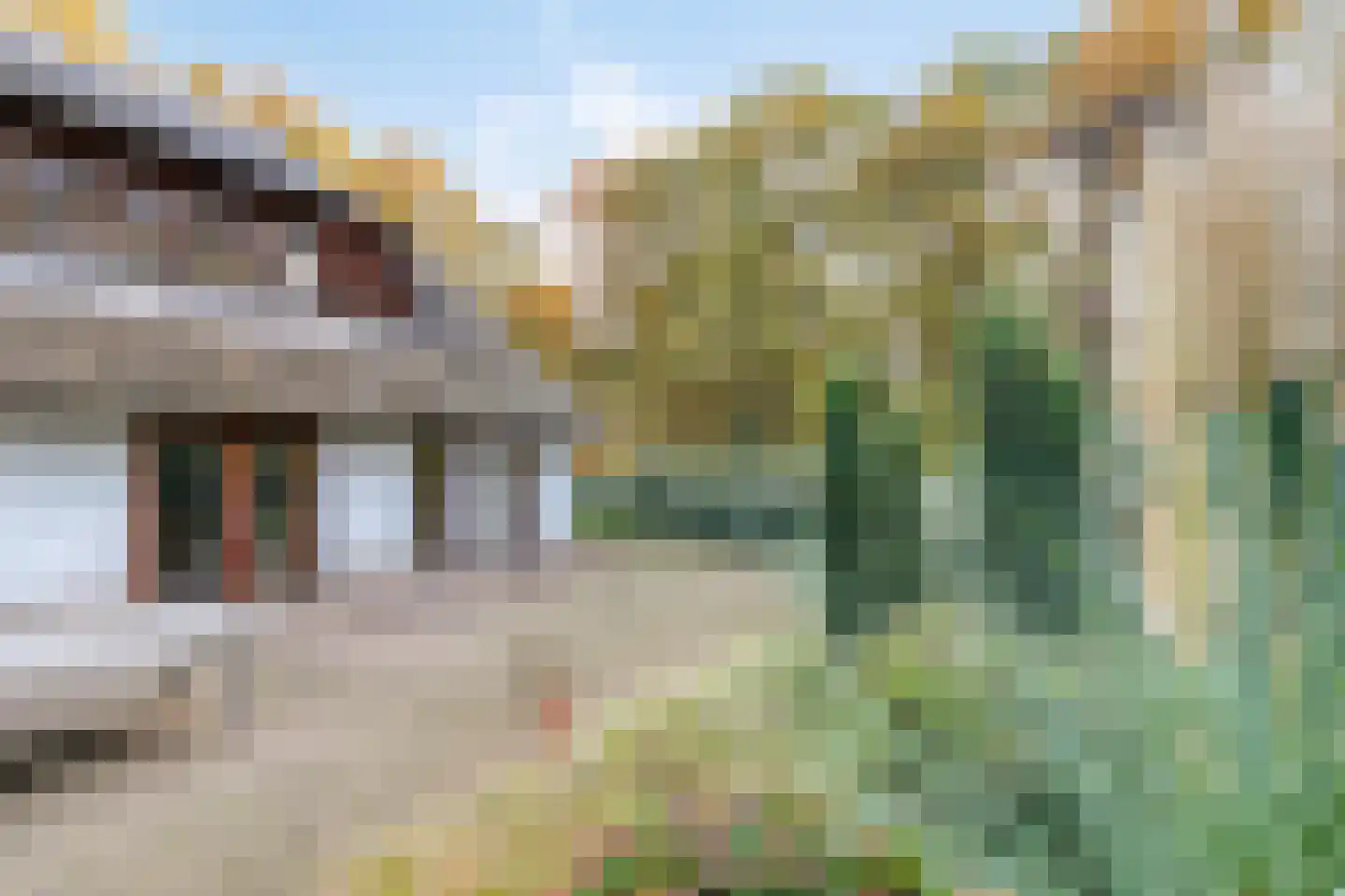 Valkstraat 12 Bergen L thumbnail 74