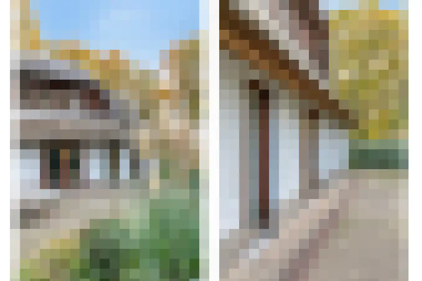 Valkstraat 12 Bergen L thumbnail 77