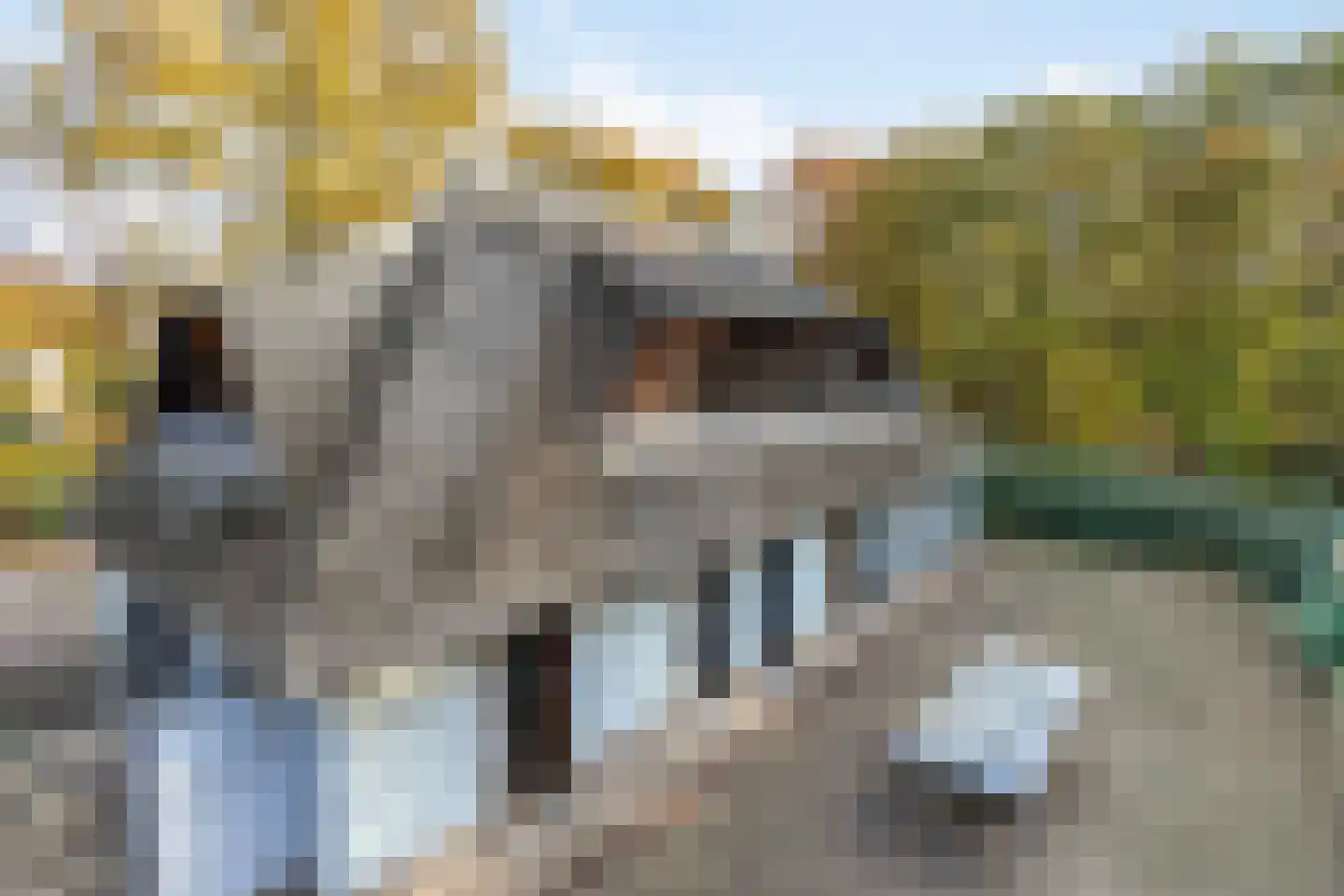 Valkstraat 12 Bergen L thumbnail 88