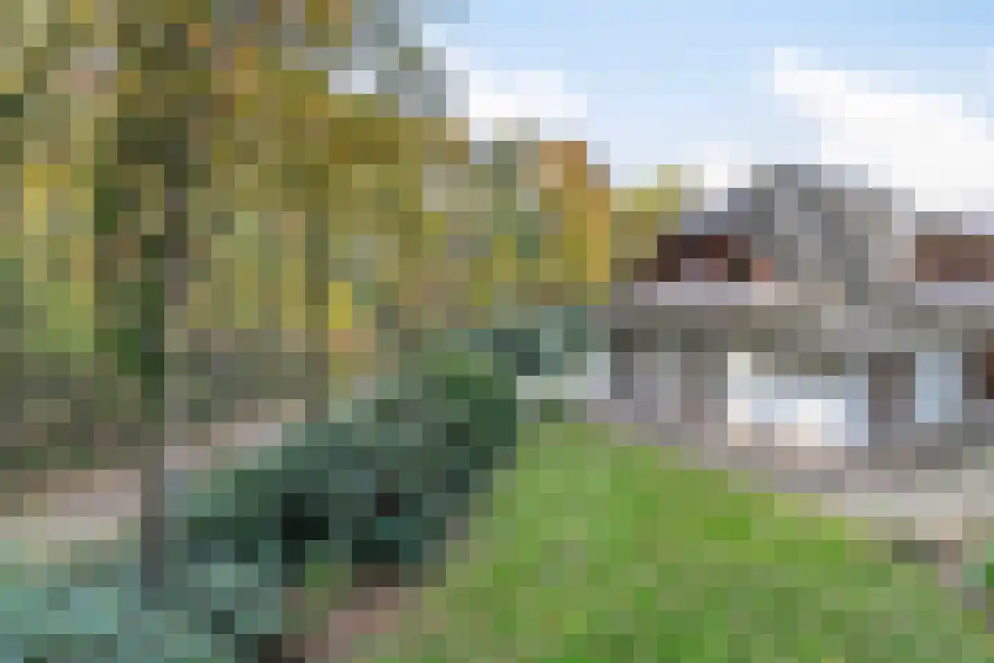 Valkstraat 12 Bergen L thumbnail 90