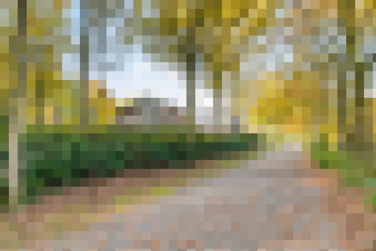 Valkstraat 12 Bergen L thumbnail 94