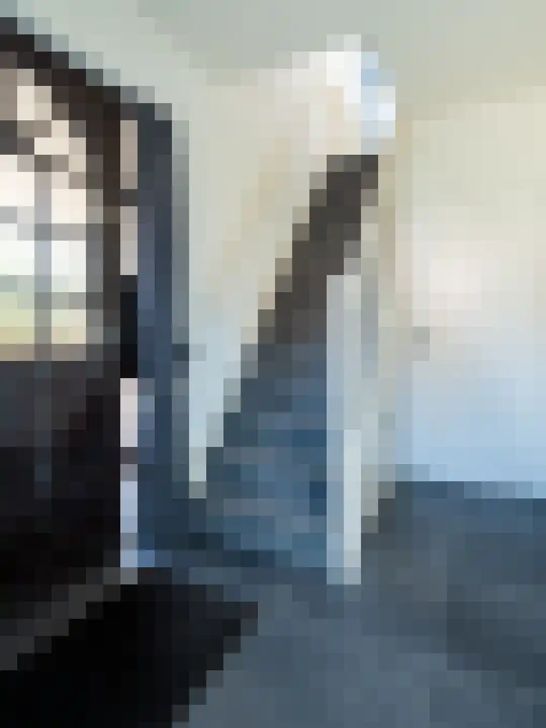 Valkstraat 12 Hank thumbnail 11