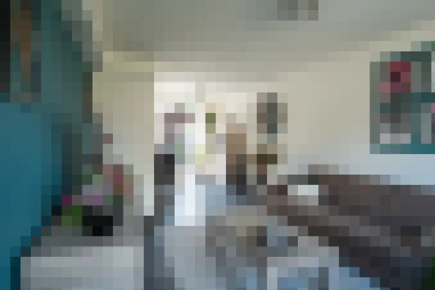 Valkstraat 12 Hank thumbnail 13