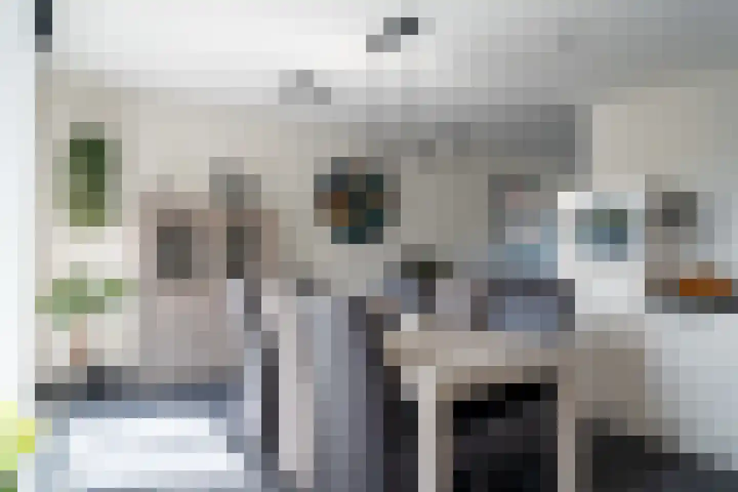 Valkstraat 12 Hank thumbnail 16