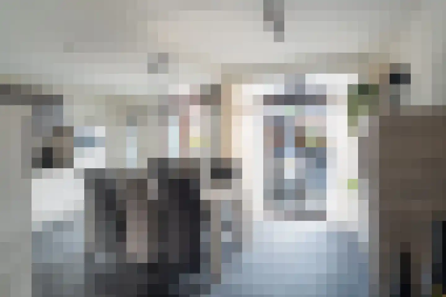 Valkstraat 12 Hank thumbnail 17