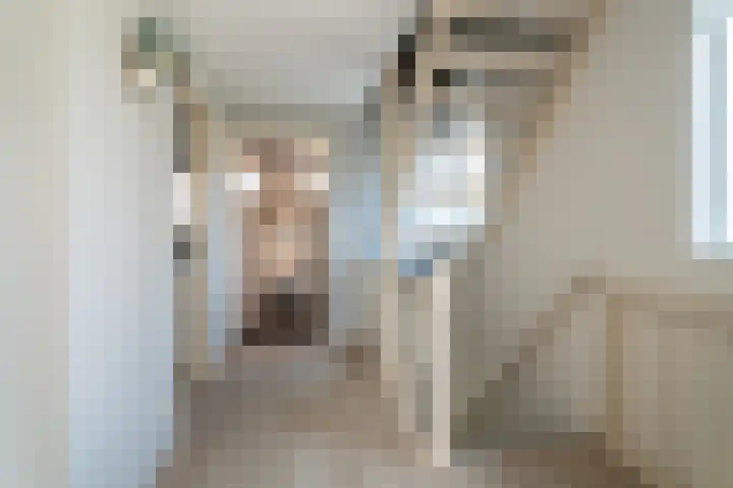 Valkstraat 12 Hank thumbnail 18