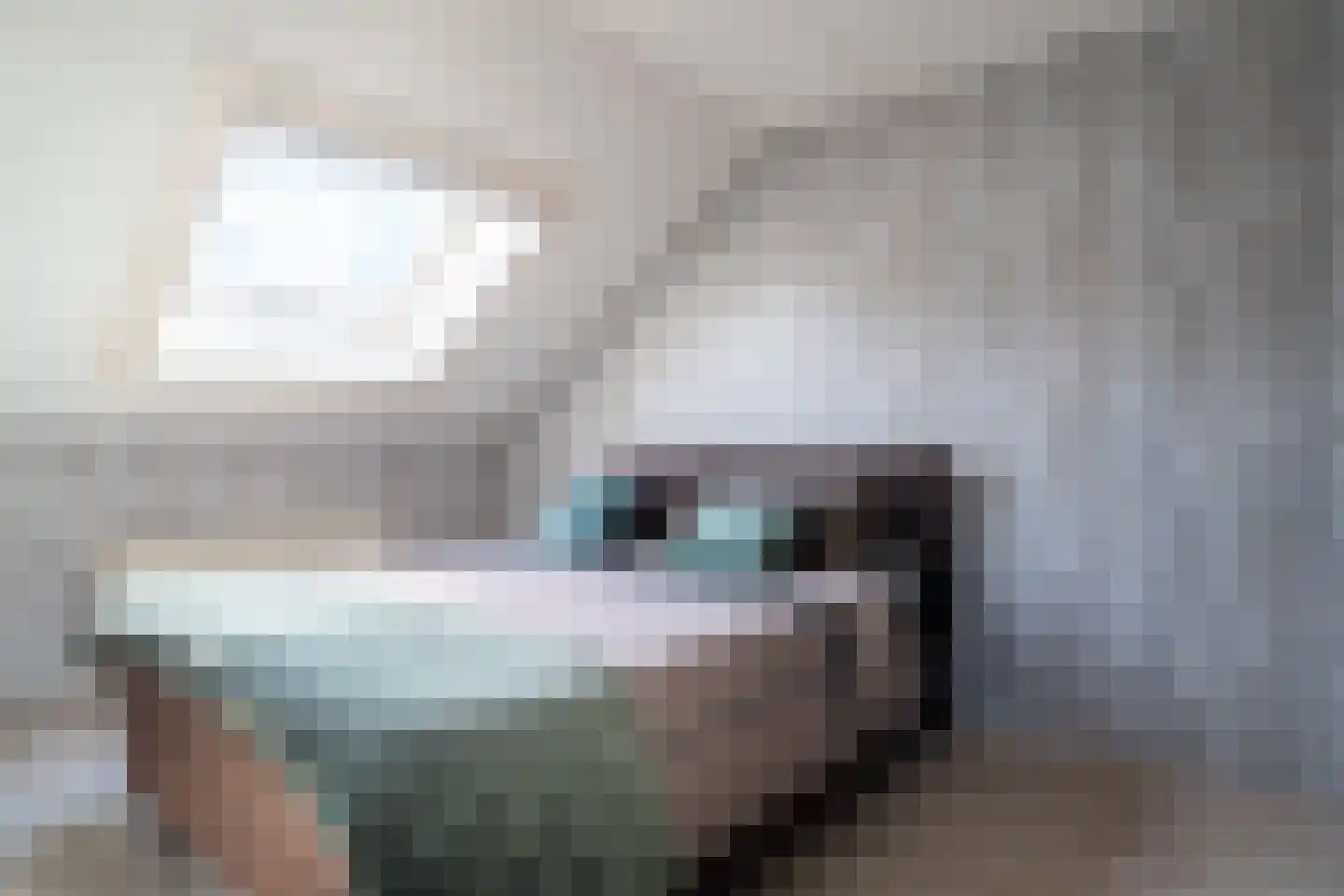 Valkstraat 12 Hank thumbnail 21