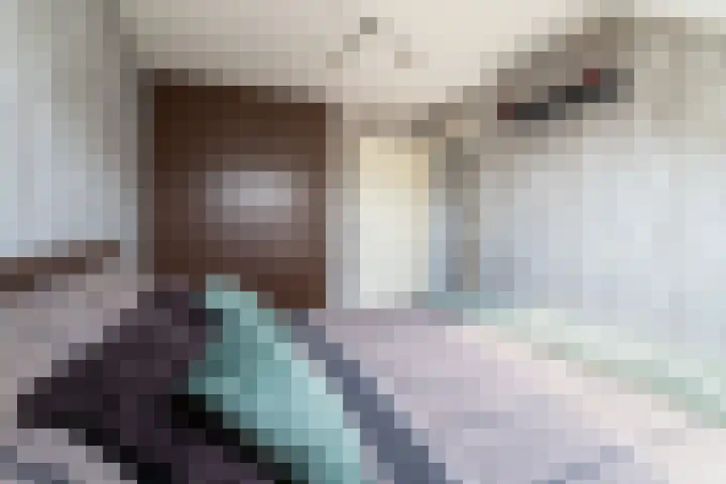 Valkstraat 12 Hank thumbnail 22