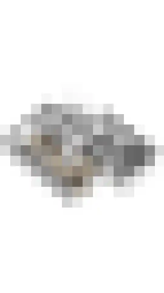 Valkstraat 12 Hank thumbnail 36