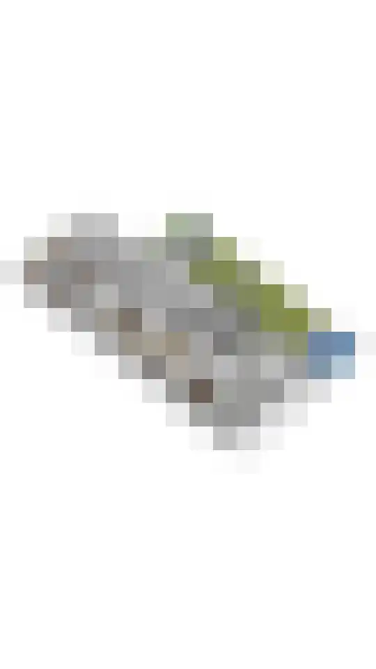 Valkstraat 12 Hank thumbnail 39