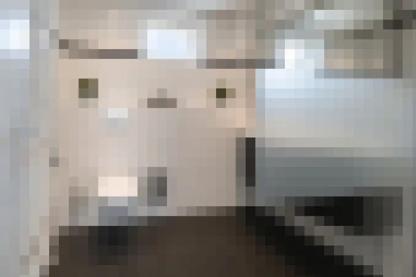 Valkstraat 12 Hank thumbnail 5