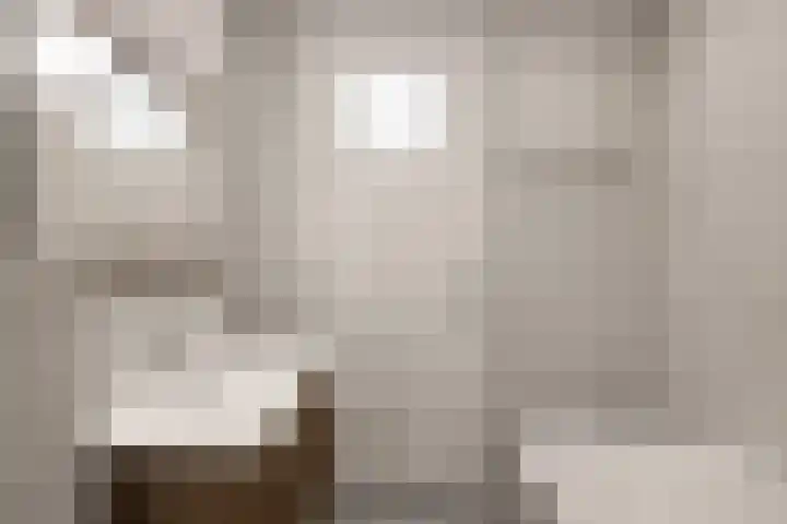 Valkstraat 12 Utrecht thumbnail 31