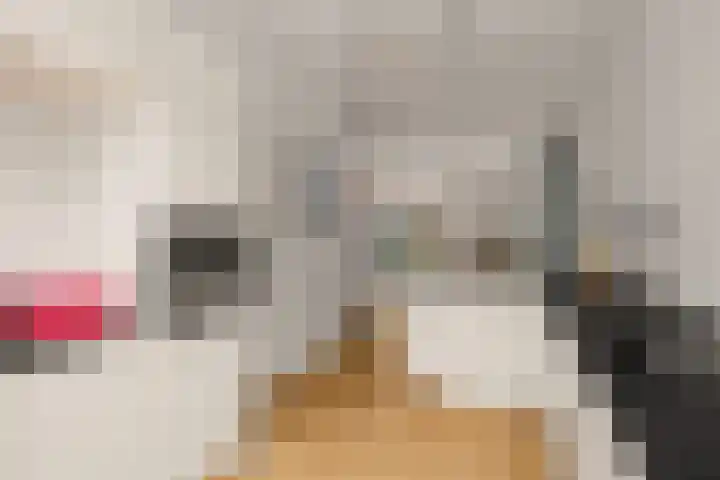 Valkstraat 12 Utrecht thumbnail 6