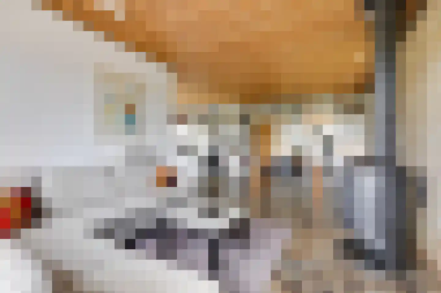 Valkstraat 17 Overasselt thumbnail 11