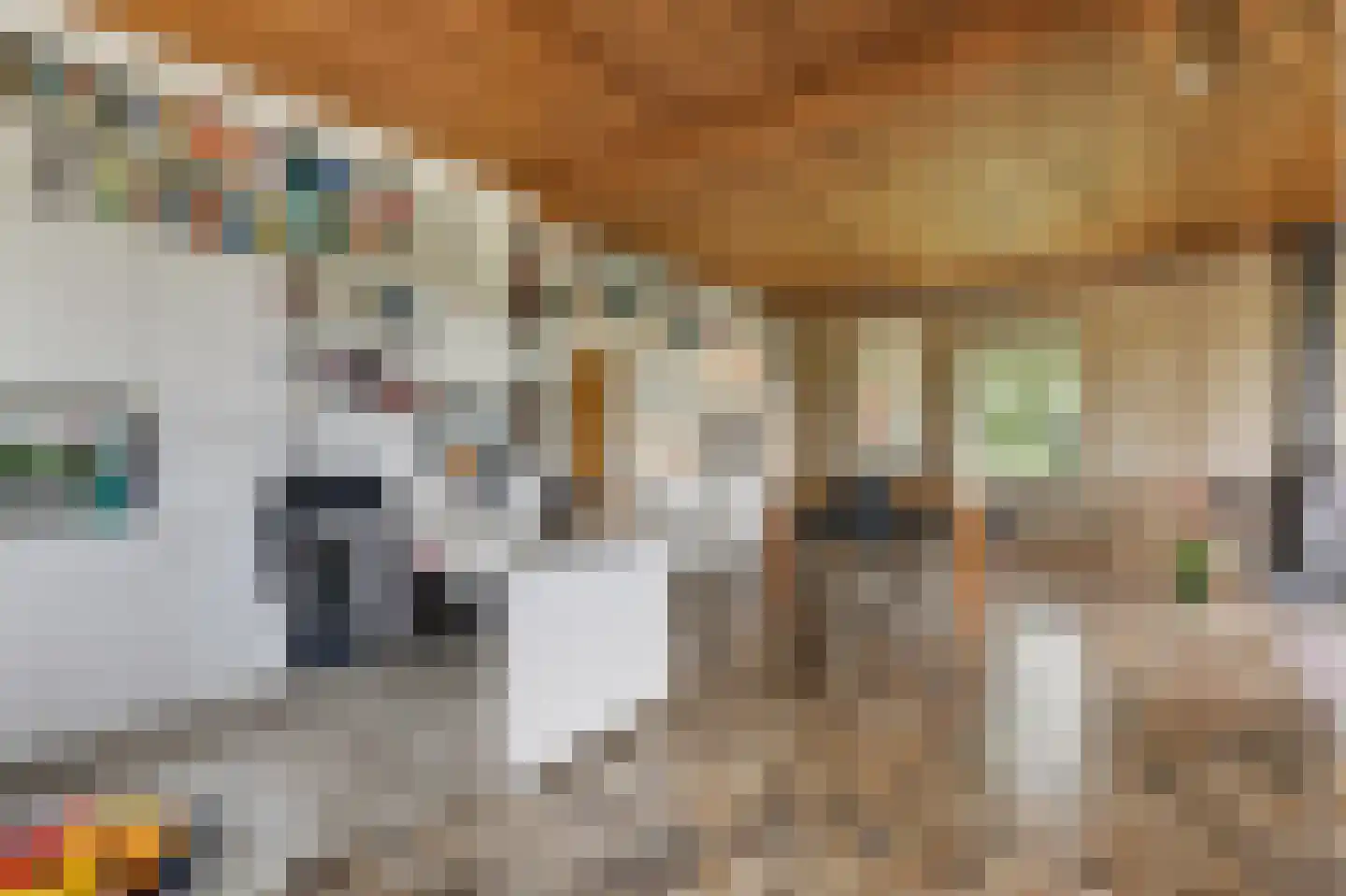 Valkstraat 17 Overasselt thumbnail 12