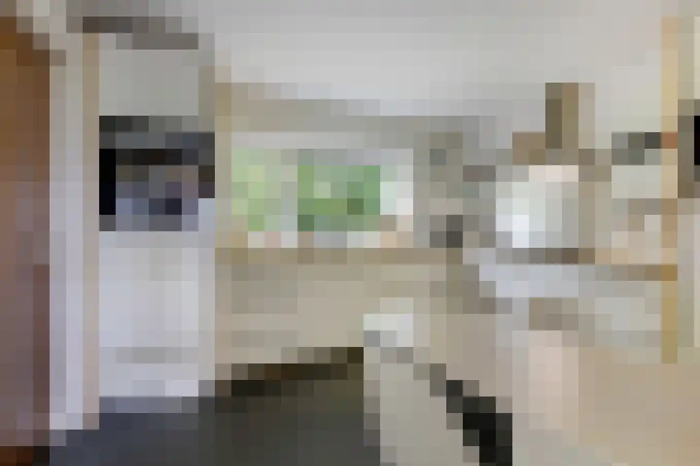 Valkstraat 17 Overasselt thumbnail 13