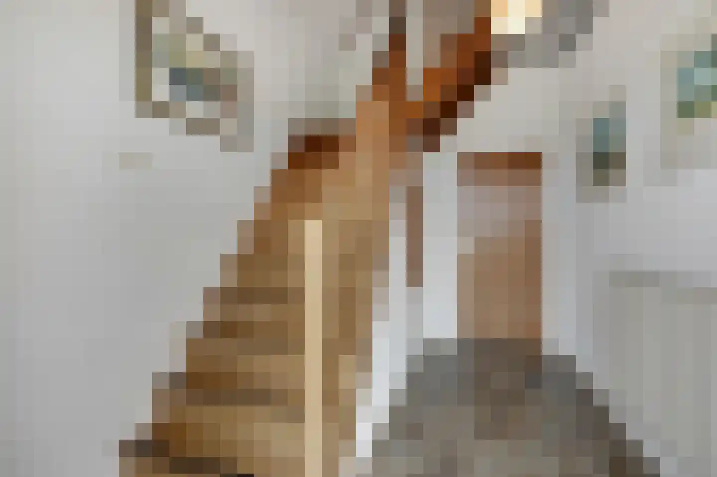 Valkstraat 17 Overasselt thumbnail 21
