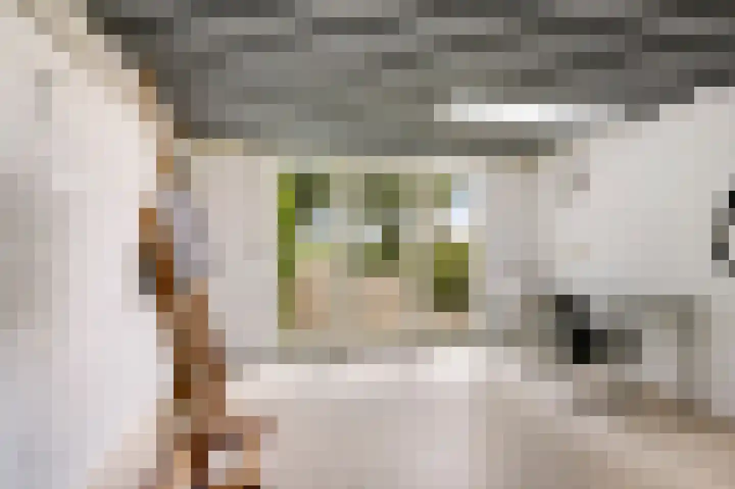 Valkstraat 17 Overasselt thumbnail 32