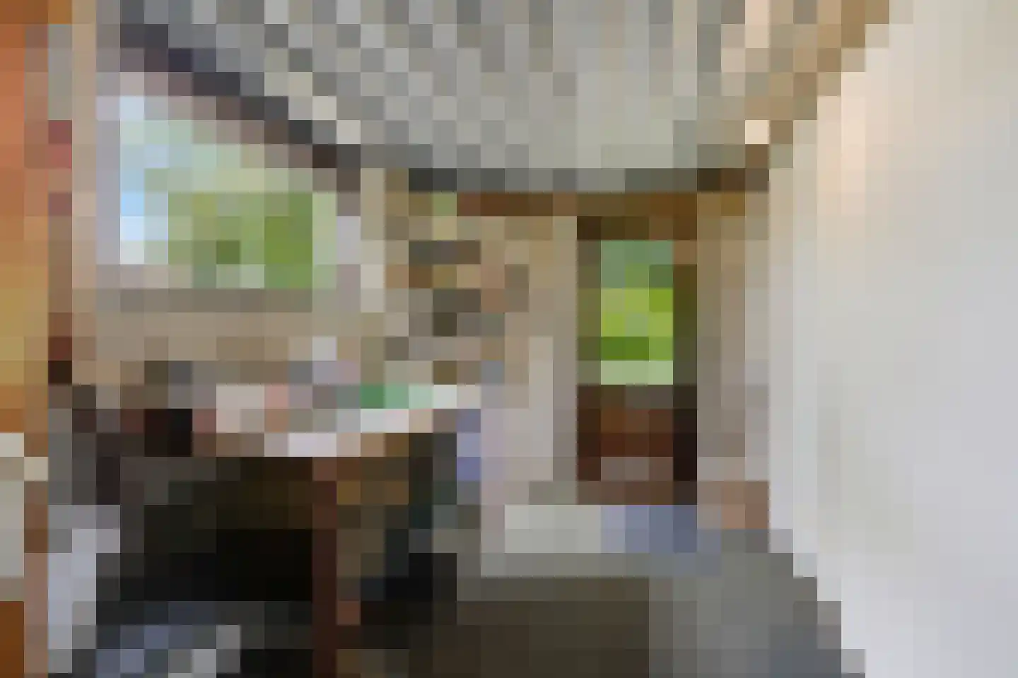Valkstraat 17 Overasselt thumbnail 33