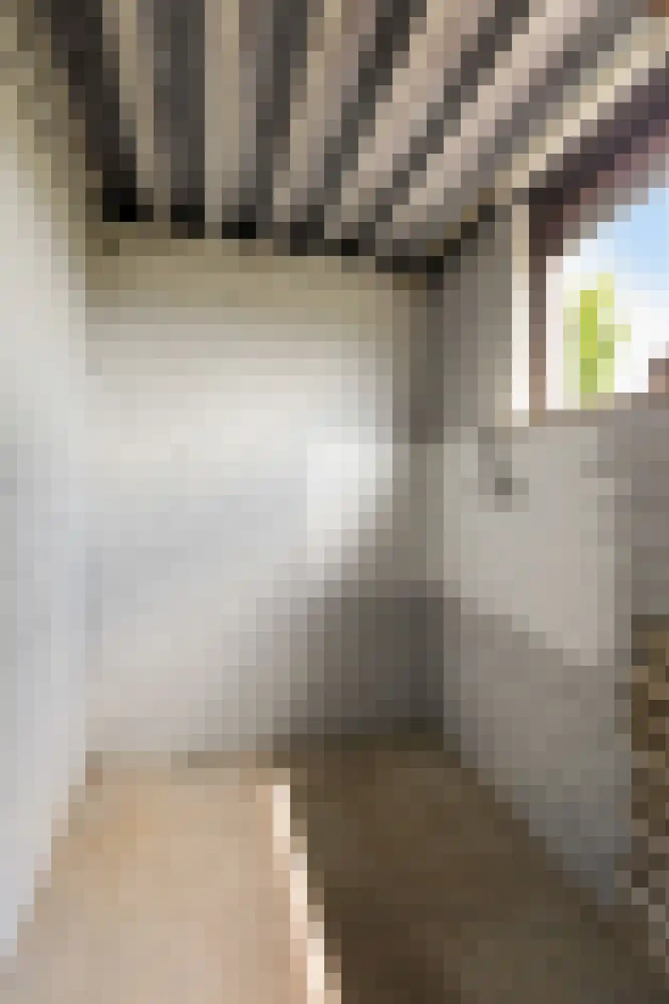 Valkstraat 17 Overasselt thumbnail 36