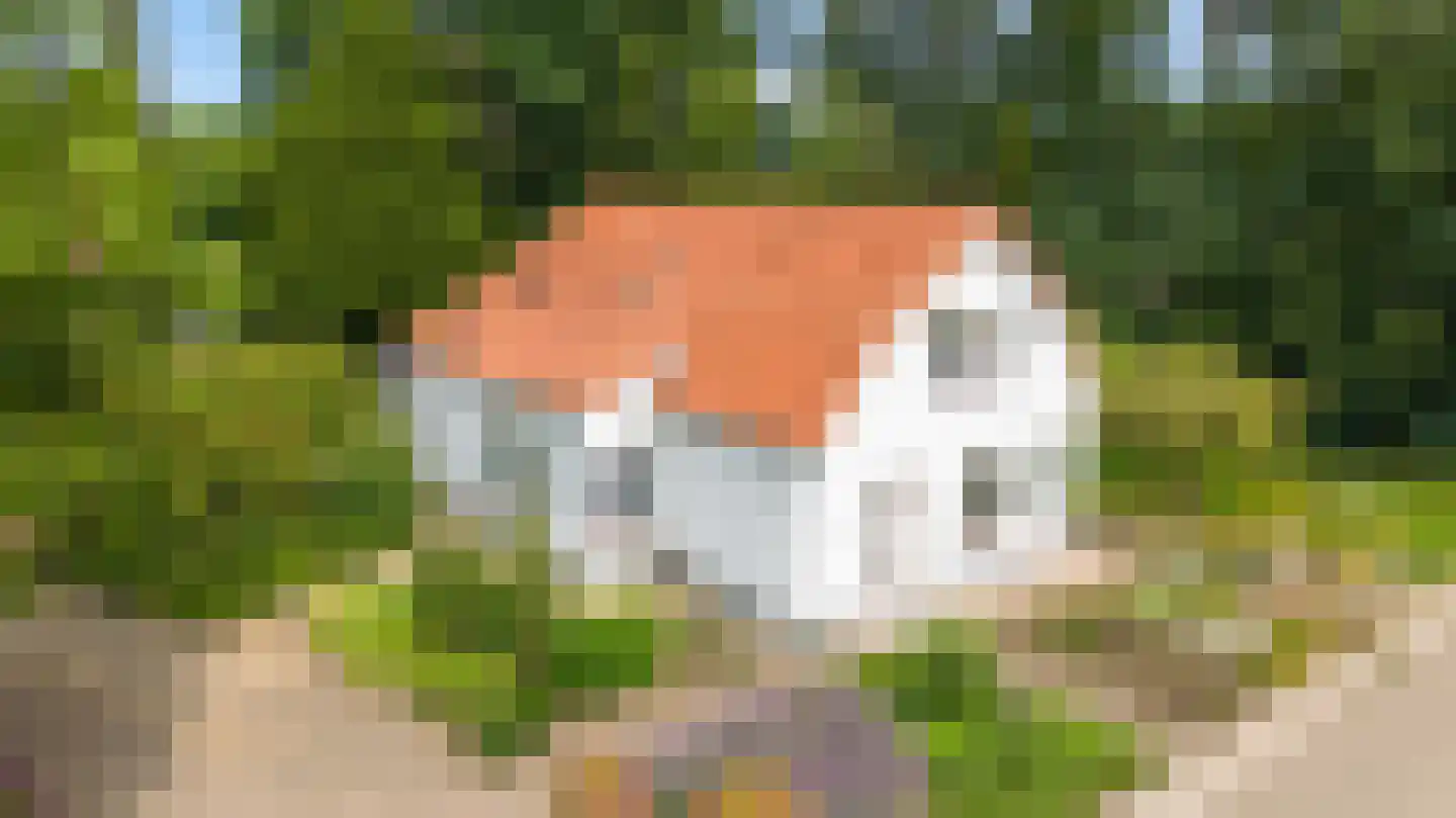 Valkstraat 17 Overasselt thumbnail 4