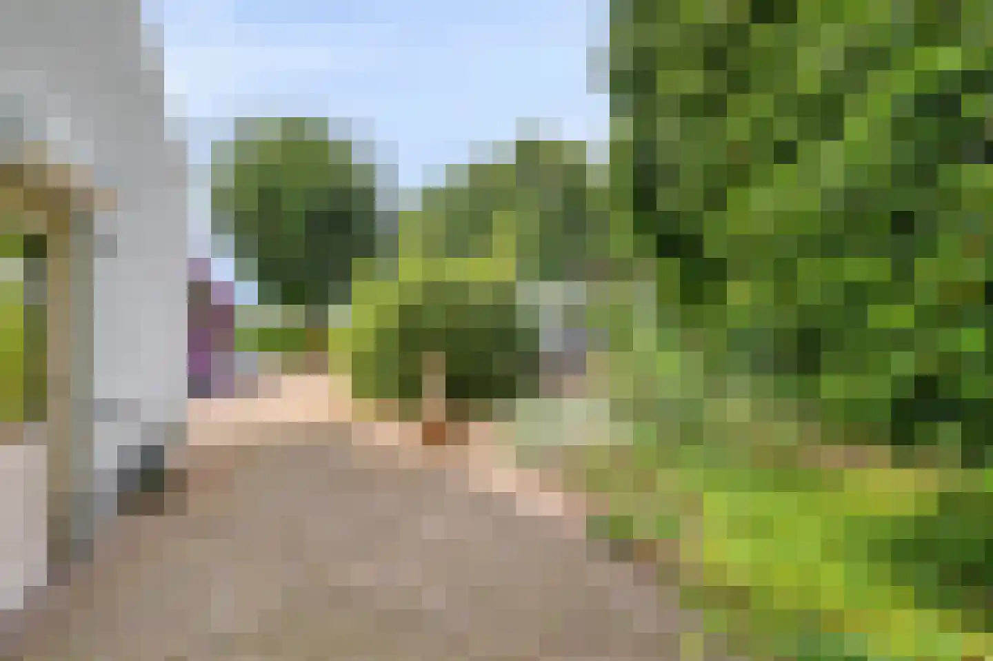 Valkstraat 17 Overasselt thumbnail 44