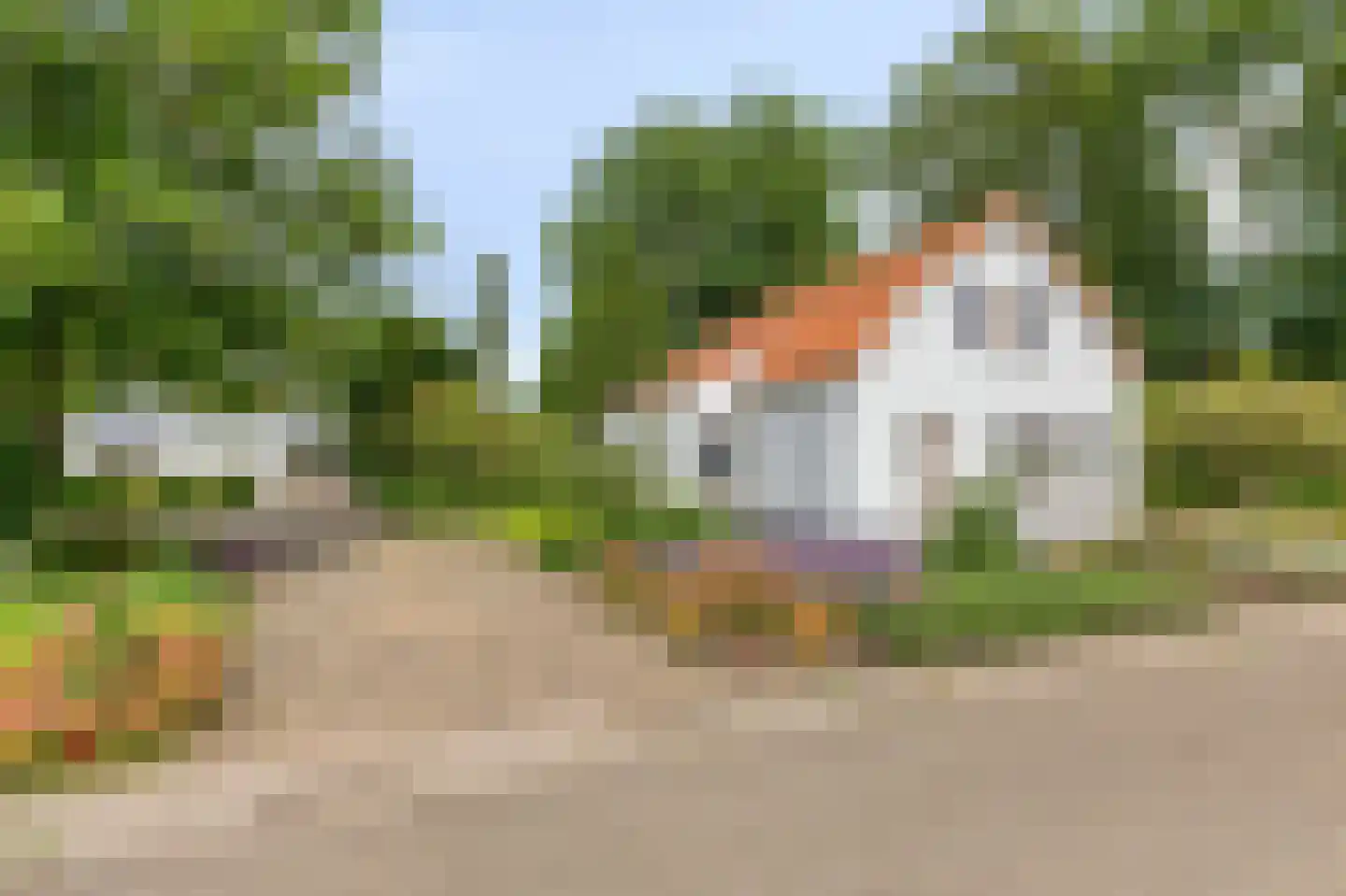 Valkstraat 17 Overasselt thumbnail 47