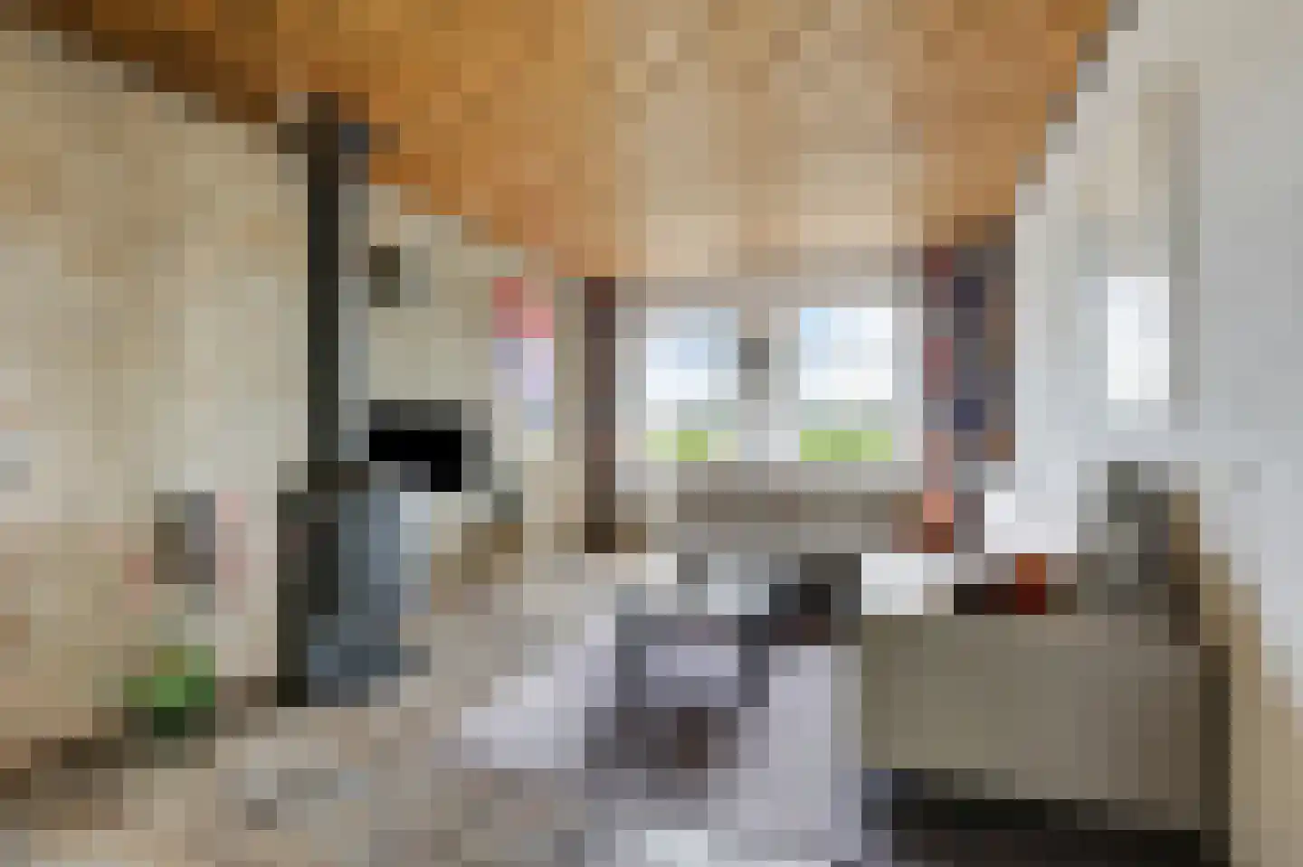 Valkstraat 17 Overasselt thumbnail 6