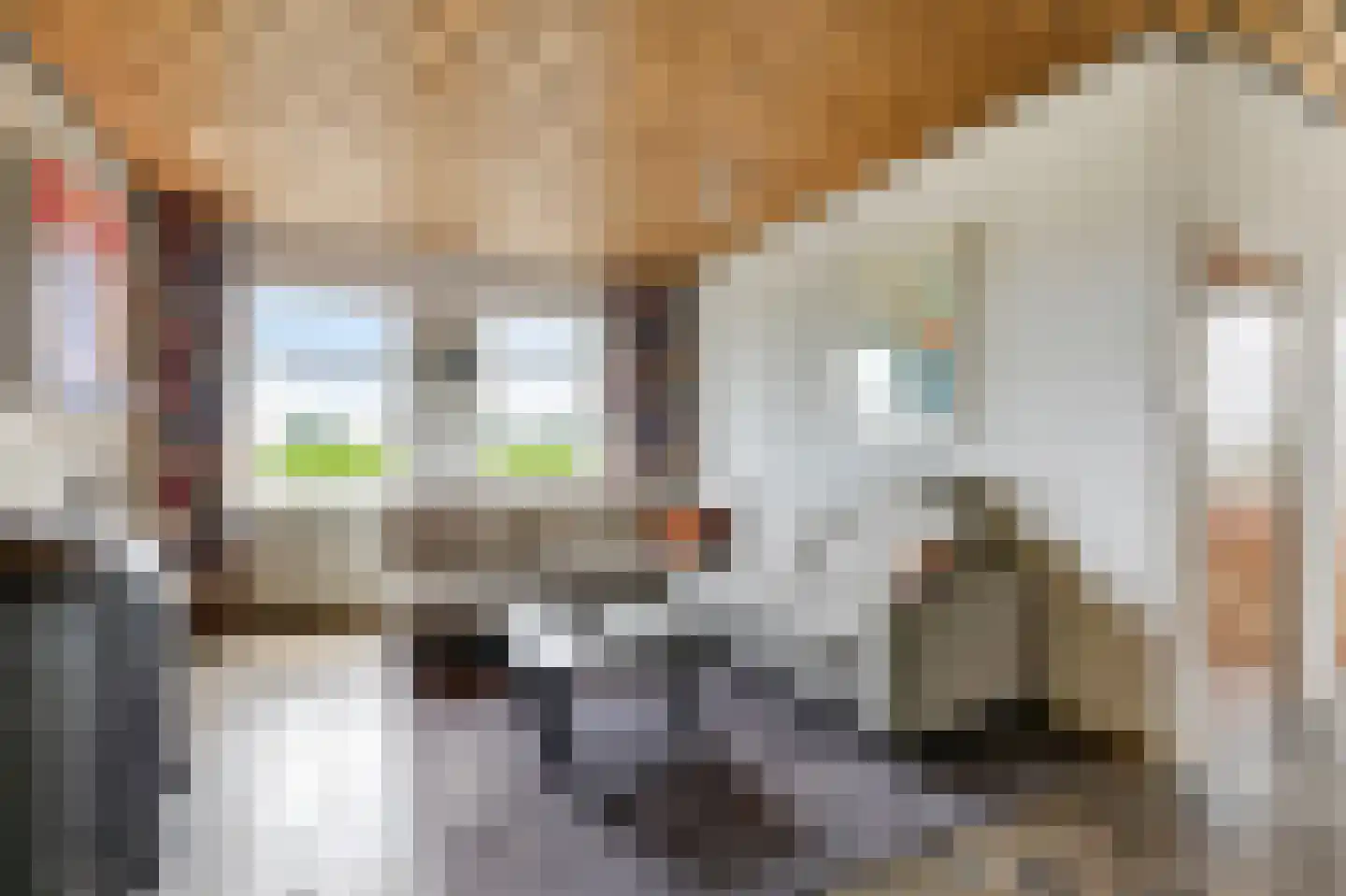 Valkstraat 17 Overasselt thumbnail 7