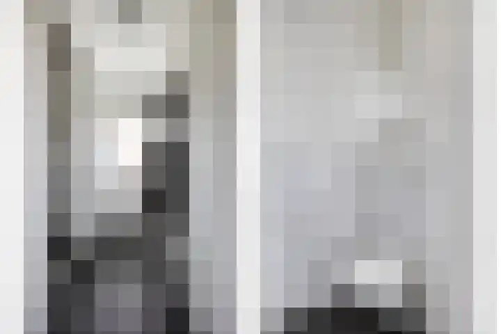 Valkstraat 22 Oss thumbnail 10
