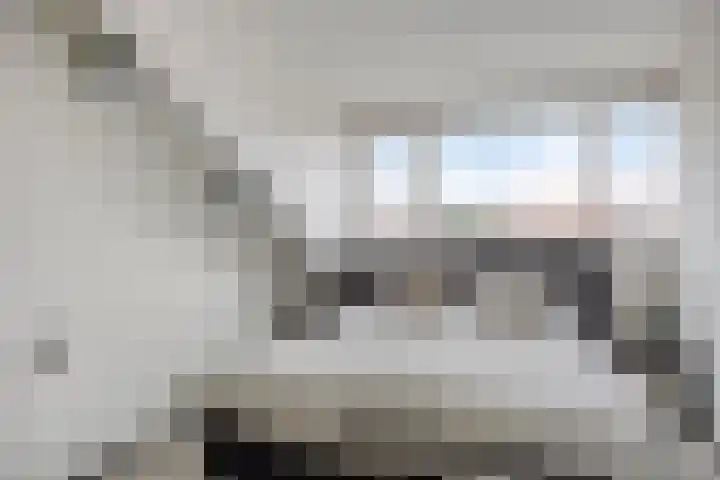Valkstraat 22 Oss thumbnail 12