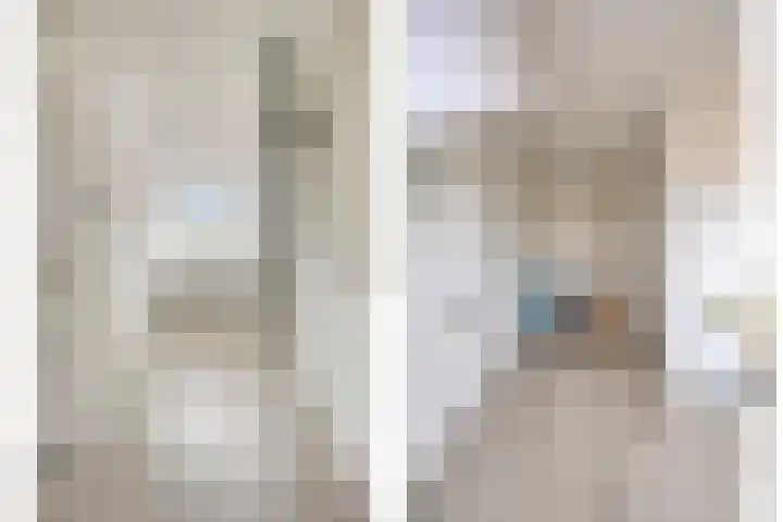 Valkstraat 22 Oss thumbnail 13