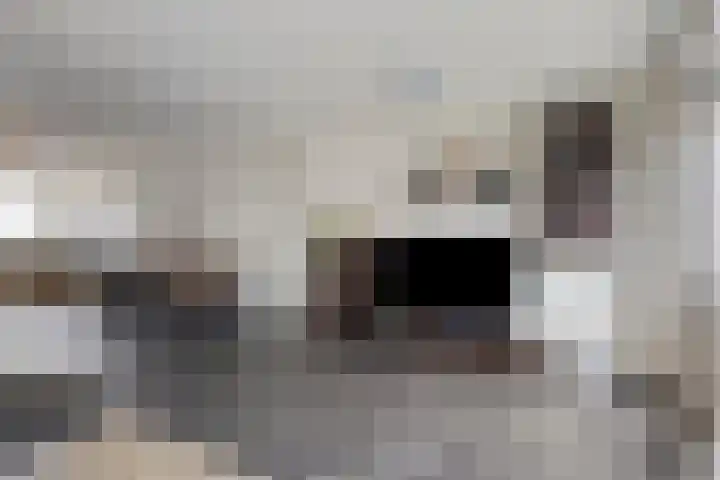 Valkstraat 22 Oss thumbnail 5