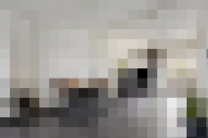 Valkstraat 22 Oss thumbnail 6