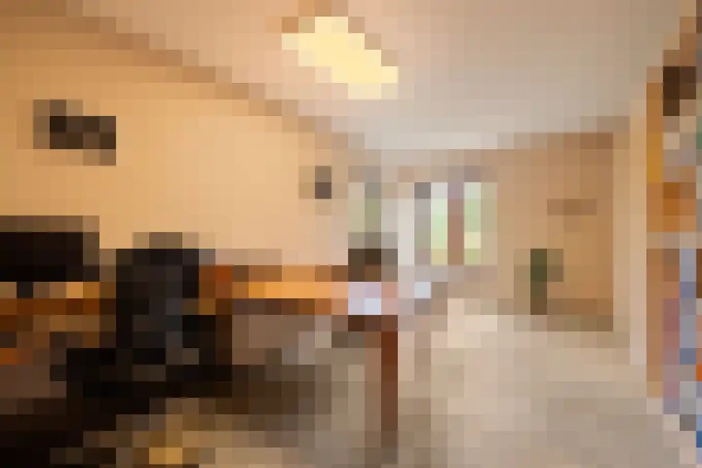 Valkstraat 22 Overasselt thumbnail 16