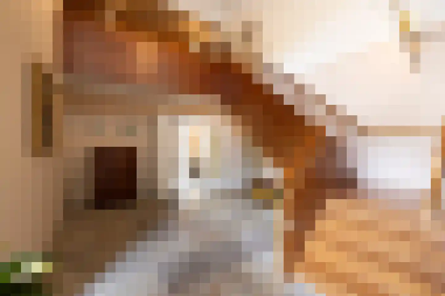 Valkstraat 22 Overasselt thumbnail 19