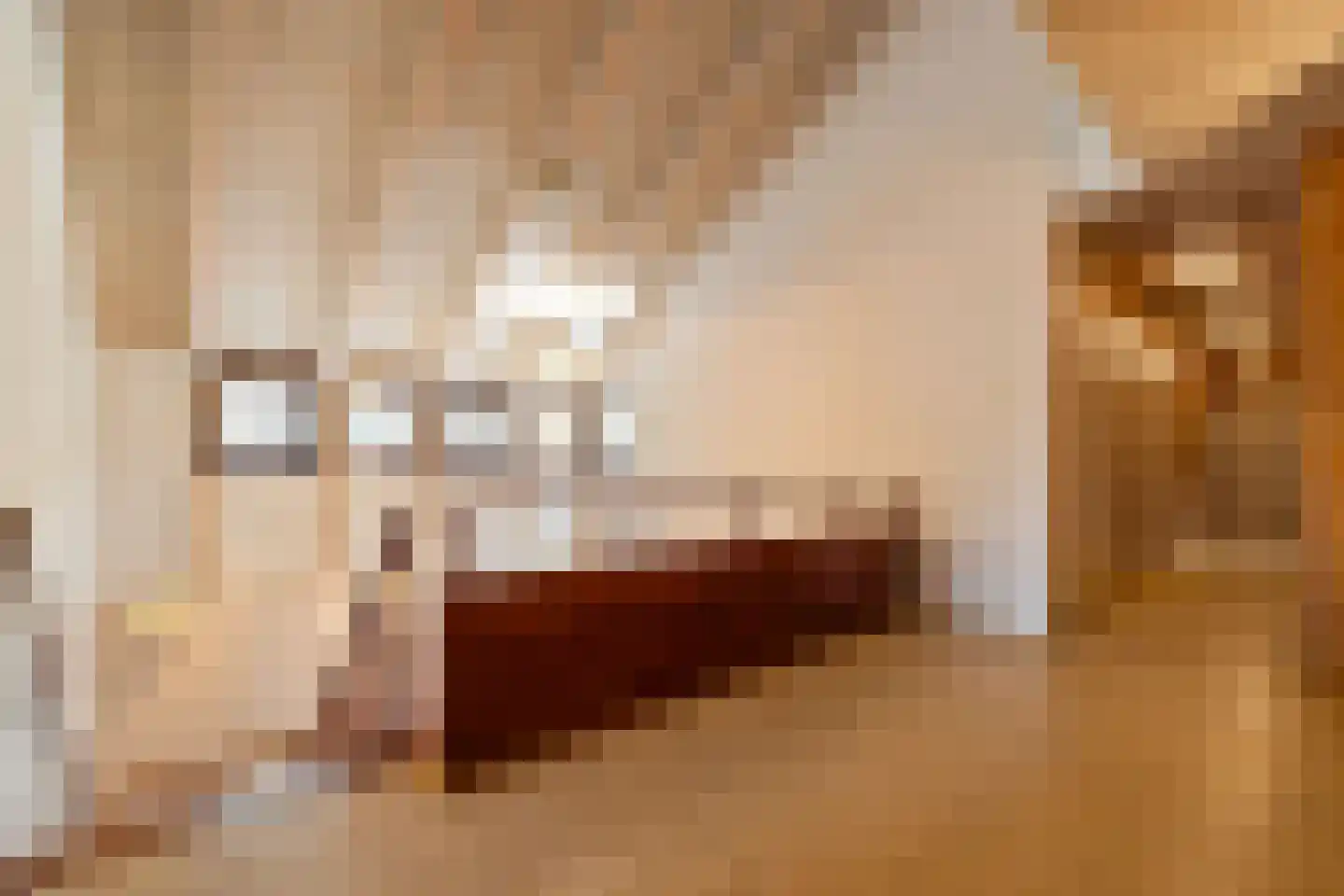Valkstraat 22 Overasselt thumbnail 20