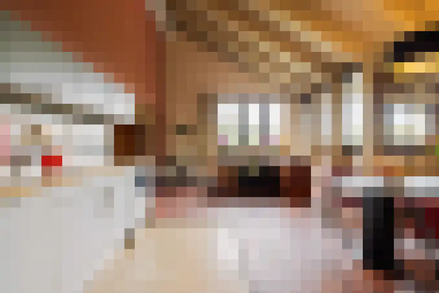Valkstraat 22 Overasselt thumbnail 21