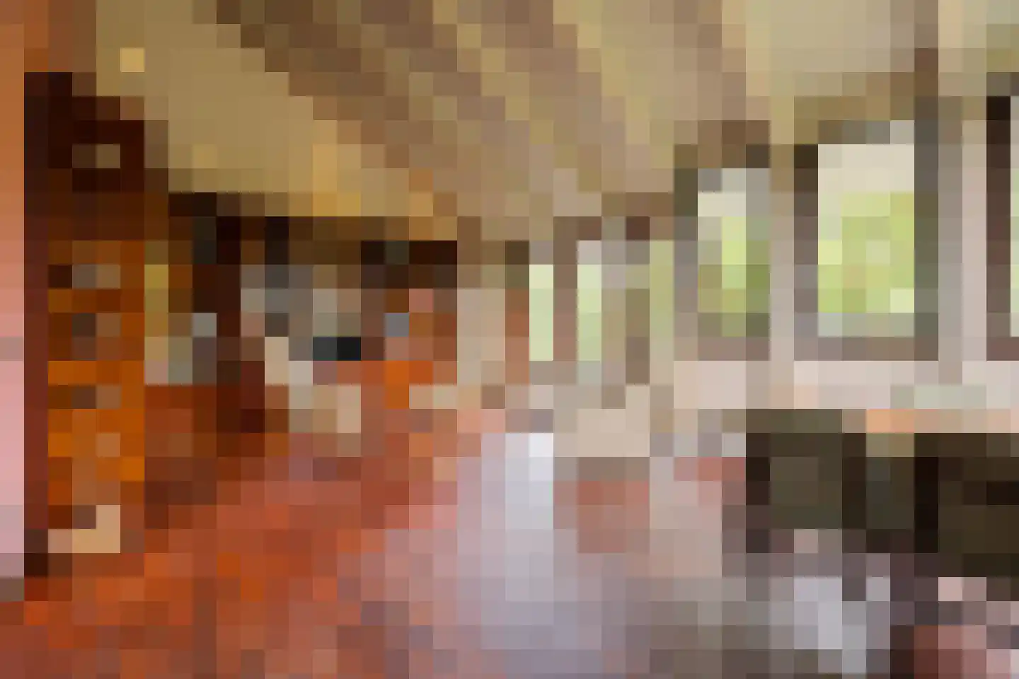 Valkstraat 22 Overasselt thumbnail 22