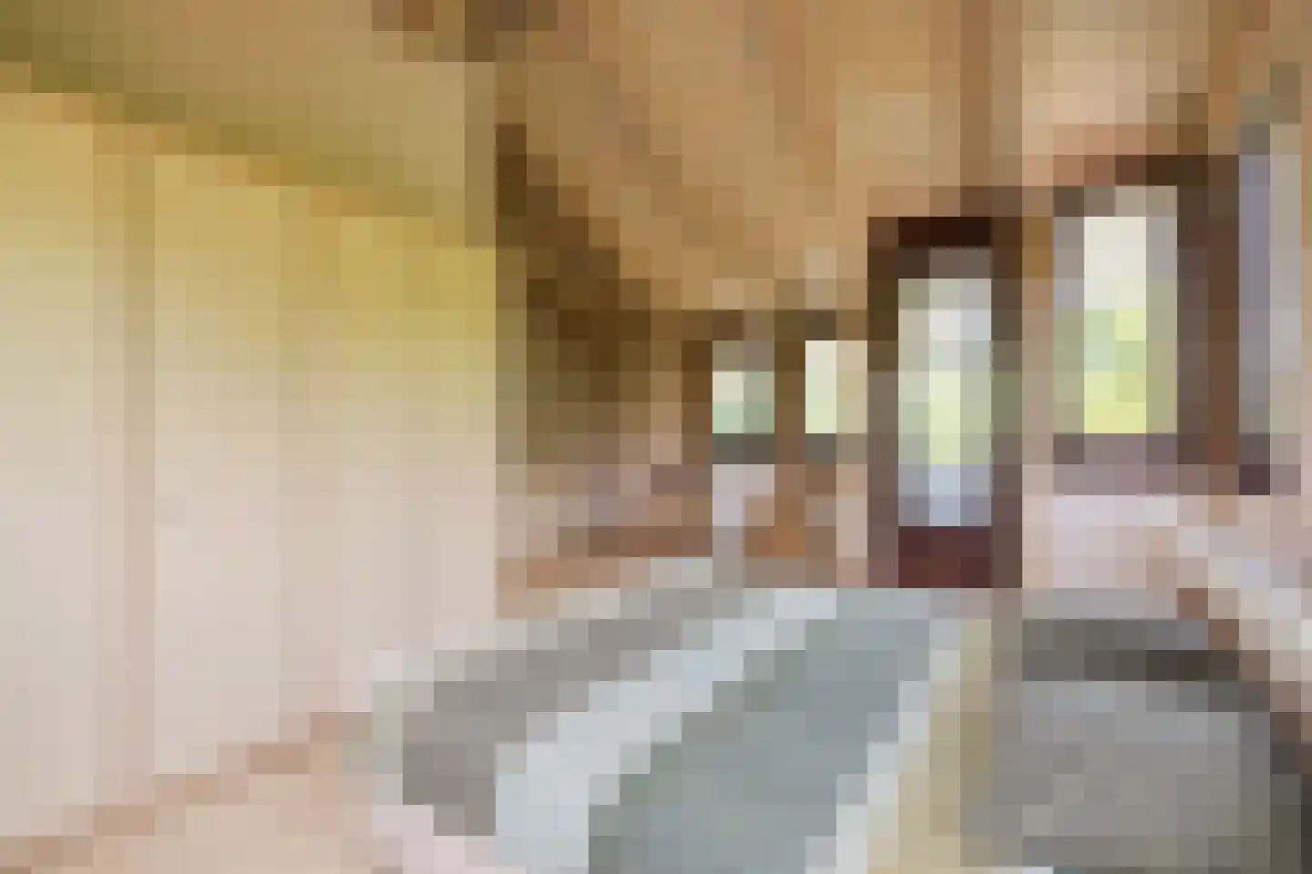 Valkstraat 22 Overasselt thumbnail 26