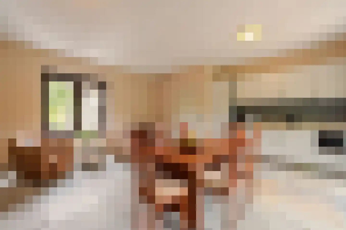 Valkstraat 22 Overasselt thumbnail 28