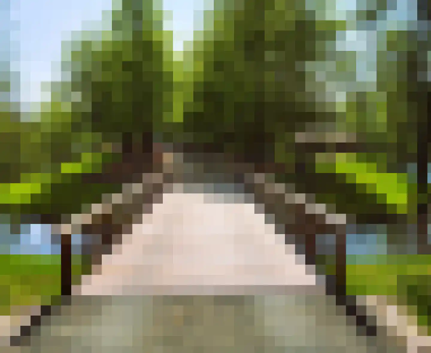 Valkstraat 22 Overasselt thumbnail 4