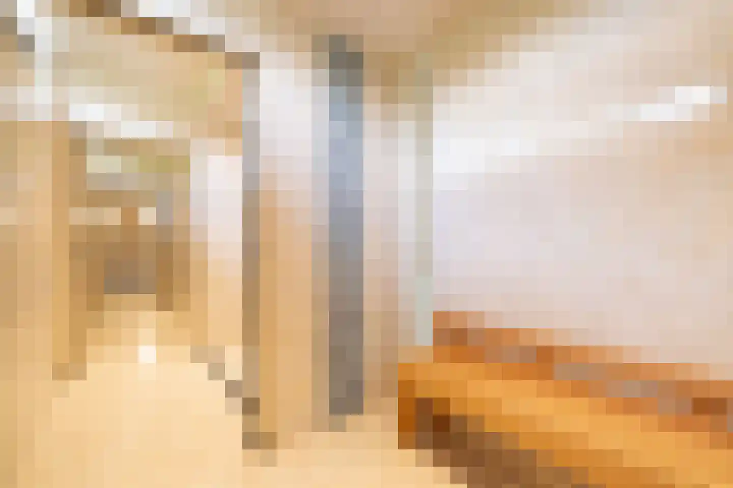 Valkstraat 22 Overasselt thumbnail 49