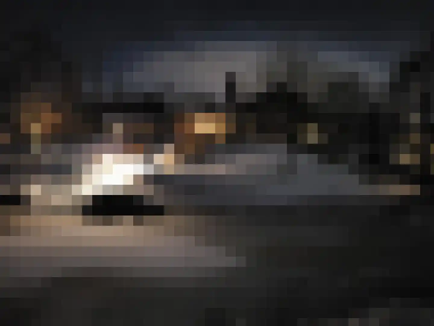 Valkstraat 22 Overasselt thumbnail 65