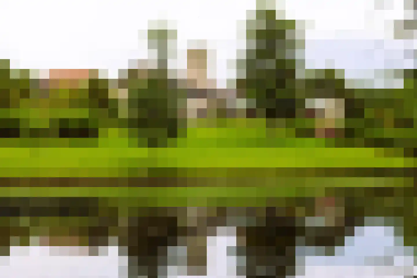 Valkstraat 22 Overasselt thumbnail 7