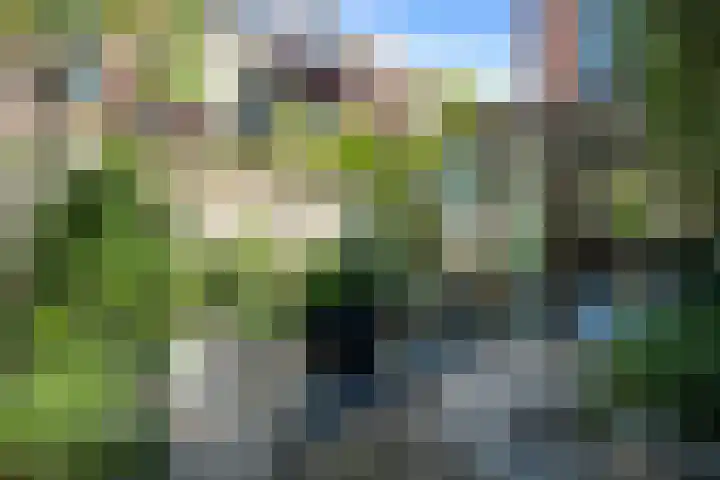 Valkstraat 24 Utrecht thumbnail 18