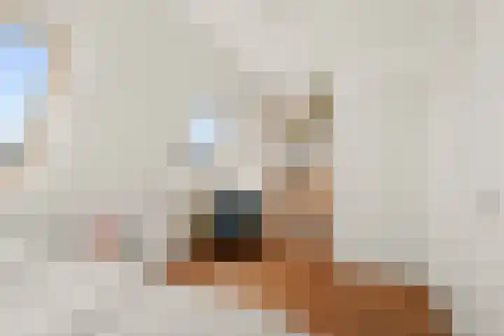 Valkstraat 24 Utrecht thumbnail 33