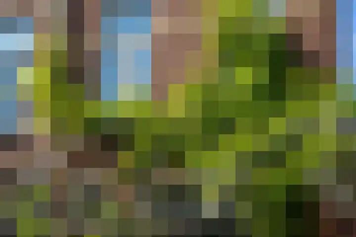 Valkstraat 24 Utrecht thumbnail 36