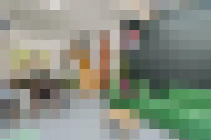 Valkstraat 24 Utrecht thumbnail 9